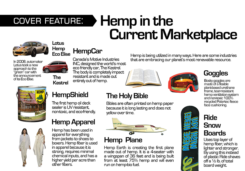 Feature: Hemp in the Current Marketplace