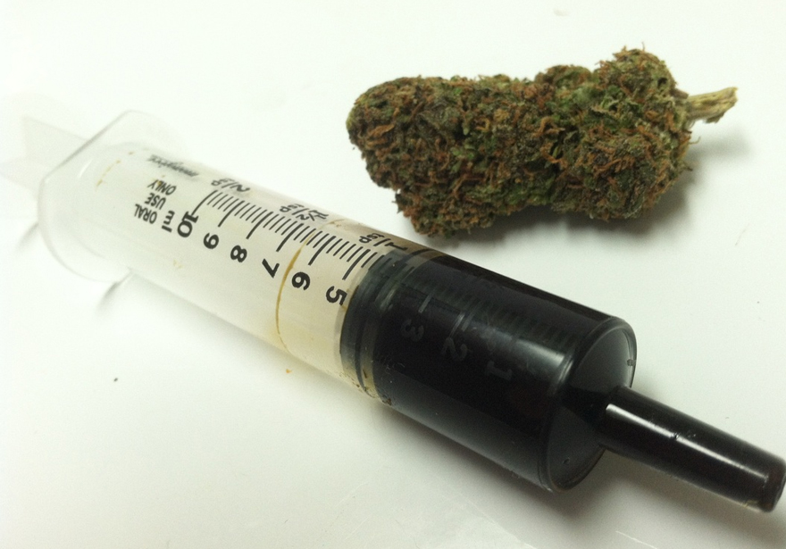 How Cannabis Oil Works to Kill Cancer Cells