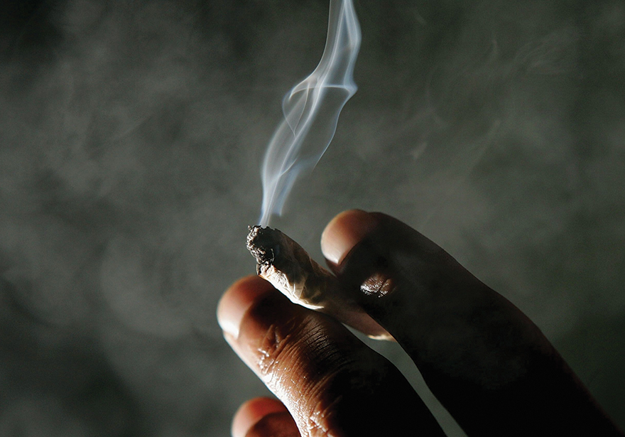 Good News Cannabis Users: Smoking Weed Will NOT Make You Stupid!
