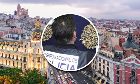 Poo Found in Madrid Spain Street Pot