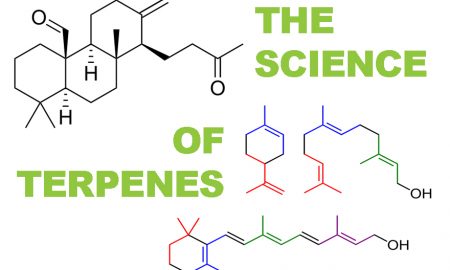 The Health Benefits of Terpenes