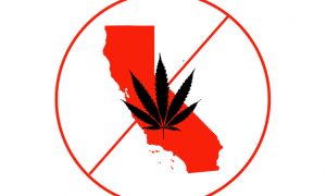 Top 10 Things Wrong With California's Legal Weed System