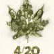 420 The Movie Review