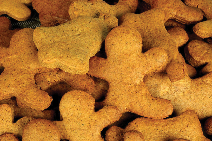 Edibles Magazine Recipes - Peanut Butter CBD Baked Dog Treats