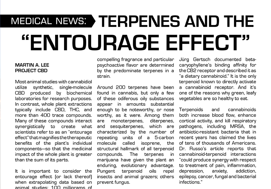 SCIENCE: TERPENES AND THE "ENTOURAGE" EFFECT | EDIBLES MAGAZINE | EDIBLES LIST