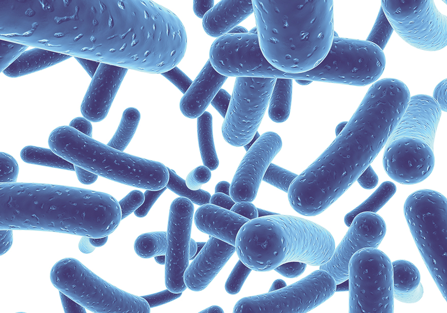 PROBIOTICS: Going With Your Gut-Incorporating Probiotics Into Your Shelf Stable Food Products