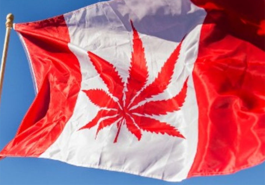 2017 CANADA MAY BECOME THE FIRST LEGALIZED RECREATIONAL POT NORTH AMERICAN COUNTRY