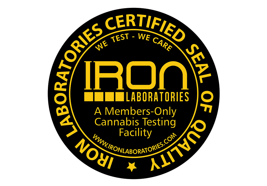 Iron Labs: Everything You Need To Know About Lab Testing