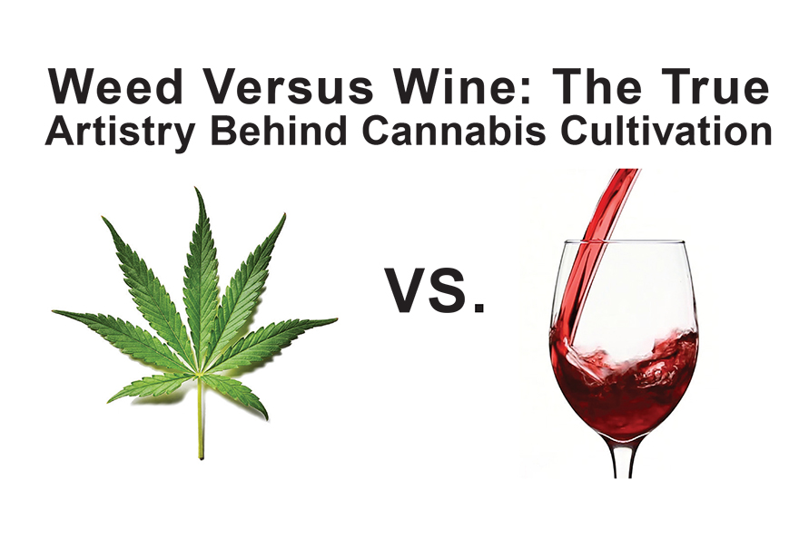 Weed Versus Wine: The True Artistry Behind Cannabis Cultivation