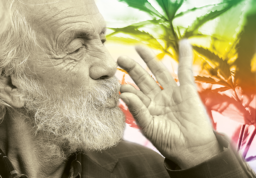 Poolside Interview with Tommy Chong - Edibles List Magazine