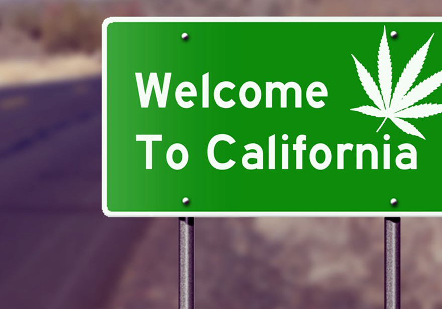 Cannabis Is Legal In California What You Need to Know