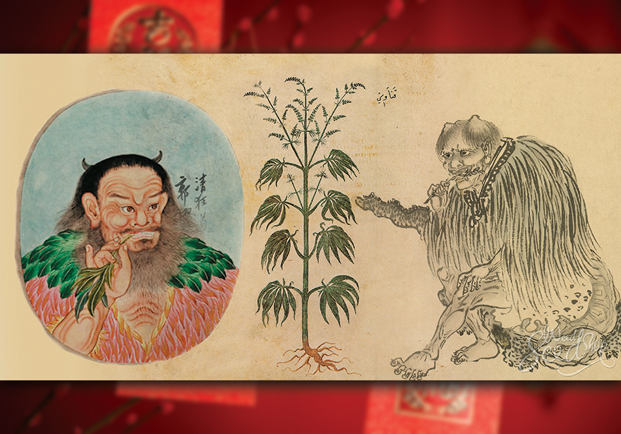 Cover Story: The History of Cannabis Began in China