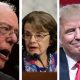 Diane Feinstein Says She Supports Cannabis, Bernie Sanders Endorses The Marijuana Justice Act and President Trump Approves State Cannabis Rights