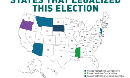 5 More States Legalized Cannabis This Election - South Dakota Passes Both Recreational and Medical Cannabis Laws at the Same Time - DC Decriminalizes Cannabis - Oregon Decriminalizes All Drugs
